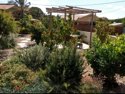 גינה במכמורת פרגולת מוטות עץ עגול שילוב של נוי ובוסתן מחופה ברסק עץ